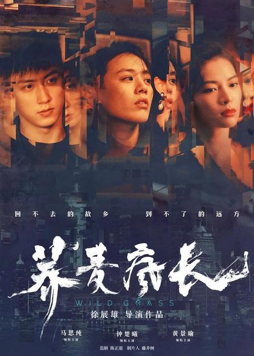 西班牙国际商务文凭证书